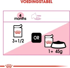 Royal Canin Kitten In Jelly - Kattenvoer - 1020 G 29 Royal Canin Kitten In Jelly - Kattenvoer - 1020 G -Merkloos Verkoop 1200x1169 1