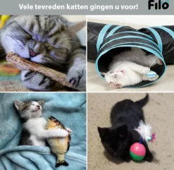 Filo Kattenspeelgoed Set 30 Stuks - Kattenspeeltje Kattentunnel - Kattenhengel - Kattenveertjes - Vis Met Kattenkruid - Kattenspeeltjes Intelligentie Kitten - Interactief Speelgoed Katten - Poezen Speeltjes -Merkloos Verkoop 1200x1170 4