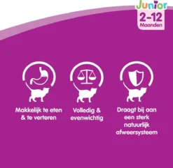 Whiskas Junior Katten Natvoer - Classic Selectie In Saus - 48 X 100g -Merkloos Verkoop 1200x1172