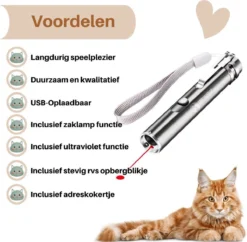 Laserpen - USB - Kattenspeeltjes - Zaklamp - Kat - Laser - Kattenspeelgoed - RVS Opbergblikje -Merkloos Verkoop 1200x1175 5
