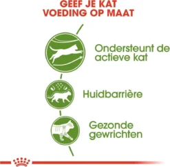 Royal Canin Outdoor - Kattenvoer - 10 Kg -Merkloos Verkoop 1200x1177 3