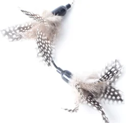 FUZLY - Kattenspeelgoed - Hengel Met Veer - Hengel Met 5 Opzetstukjes - Kattenspeeltjes - Bewegend Kattenspeelgoed- Kattenspeeltjes Intelligentie - Kattenhengel - Kattenspeeltje Interactief -Merkloos Verkoop 1200x1177 6