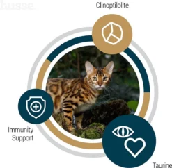 Husse Opus Lynx Senior Graanvrij Kattenvoer - 7 Kg 9 Husse Opus Lynx Senior Graanvrij Kattenvoer - 7 Kg -Merkloos Verkoop 1200x1178 1