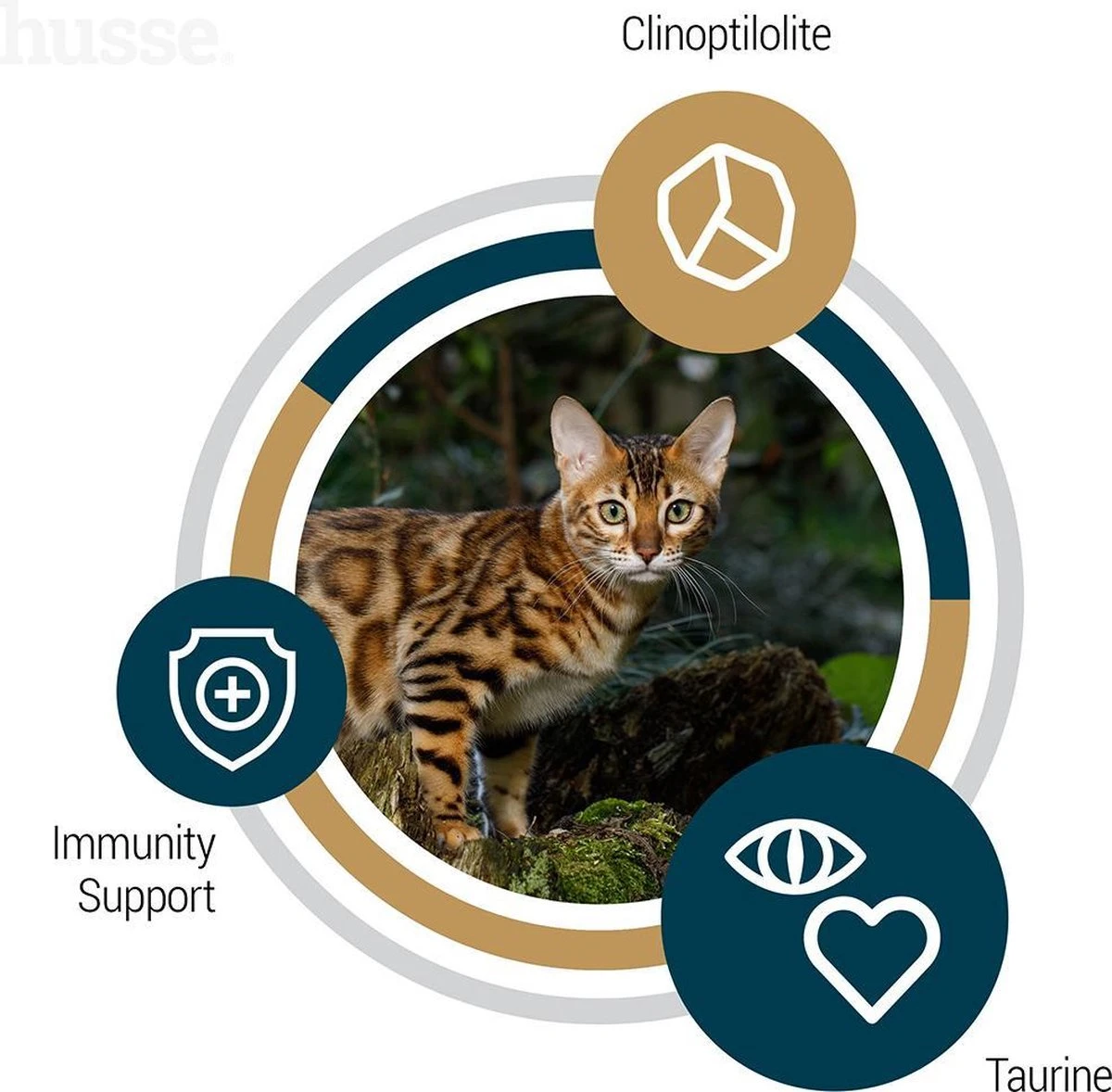 Husse Opus Lynx Senior Graanvrij Kattenvoer - 7 Kg 5 Husse Opus Lynx Senior Graanvrij Kattenvoer - 7 Kg - Image 5