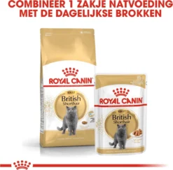 Royal Canin Fbn British Shorthair Adult Pouch - Kattenvoer - 12x85 G -Merkloos Verkoop 1200x1179 1