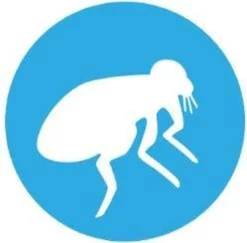 Bayer Bolfo Gold 40 Anti Vlooienmiddel - Kat - 0 Tot 4 Kg - 4 Pipetten -Merkloos Verkoop 1200x1180 22