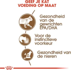 Royal Canin Wet Ageing 12+ (12X85 GR) -Merkloos Verkoop 1200x1182 1