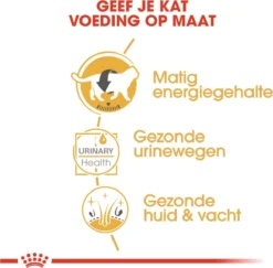 Royal Canin Fbn British Shorthair Adult Pouch - Kattenvoer - 12x85 G -Merkloos Verkoop 1200x1182 2