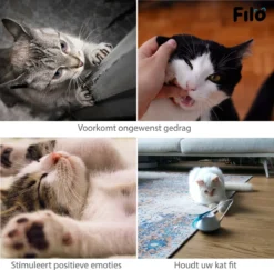 Filo Elektrisch Rijdend Kattenspeelgoed Met Laser - Rijdend Kattenspeeltje - Automatisch Interactief Speelgoed Katten - Kattencadeaus - Elektronisch Speelgoed Kittens - Kat - Kitten - Laserspeelgoed - Kado -Merkloos Verkoop 1200x1182 6