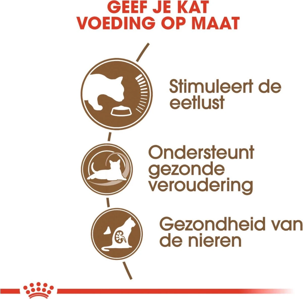 Royal Canin Ageing 12+ - Kattenvoer - 4 Kg 3 Royal Canin Ageing 12+ - Kattenvoer - 4 Kg - Image 3