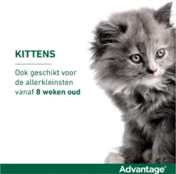 Bayer Anti Vlooienmiddel Advantage 80 > 4 Kg - 4 X 0,8 Ml -Merkloos Verkoop 1200x1183 3