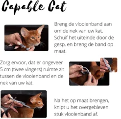 Capable Cat Vlooienband Kat | Vlooien | Luizen | Teken | Mijten | 8 Maanden Bescherming | Katten -Merkloos Verkoop 1200x1186 5