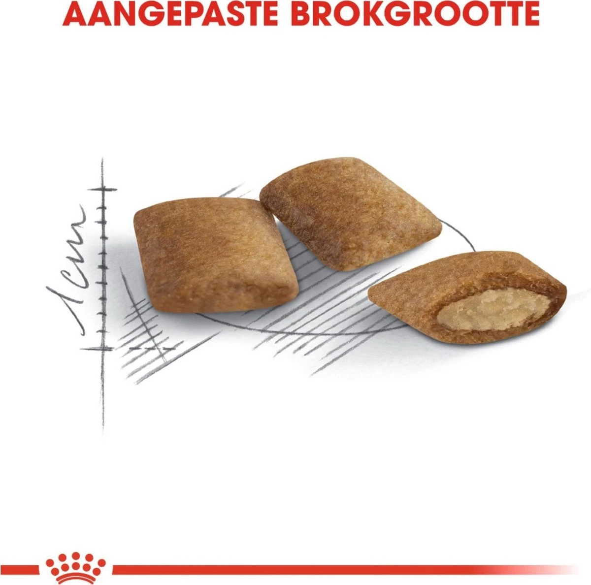 Royal Canin Ageing 12+ - Kattenvoer - 4 Kg 5 Royal Canin Ageing 12+ - Kattenvoer - 4 Kg - Image 5