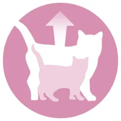 Purina ONE Junior - Kip/Granen - Kattenvoer - 800 G 20 Purina ONE Junior - Kip/Granen - Kattenvoer - 800 G -Merkloos Verkoop 1200x1198 1