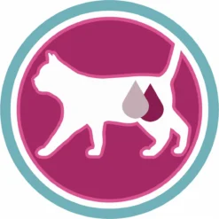 Purina ONE Urinary Care - Kip - Kattenvoer - 800 G 20 Purina ONE Urinary Care - Kip - Kattenvoer - 800 G -Merkloos Verkoop 1200x1199 12