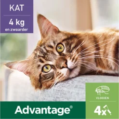 Bayer Anti Vlooienmiddel Advantage 80 > 4 Kg - 4 X 0,8 Ml -Merkloos Verkoop 1200x1199 30