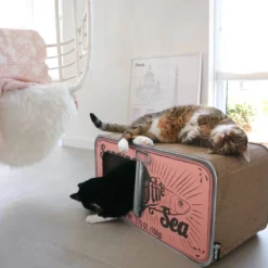 District 70 SARDINE - Design Katten Krabmeubel Van Gerecycled Karton - Zwart, Wit Of Perzik - Afmeting 60x30x30 Cm - Perzik