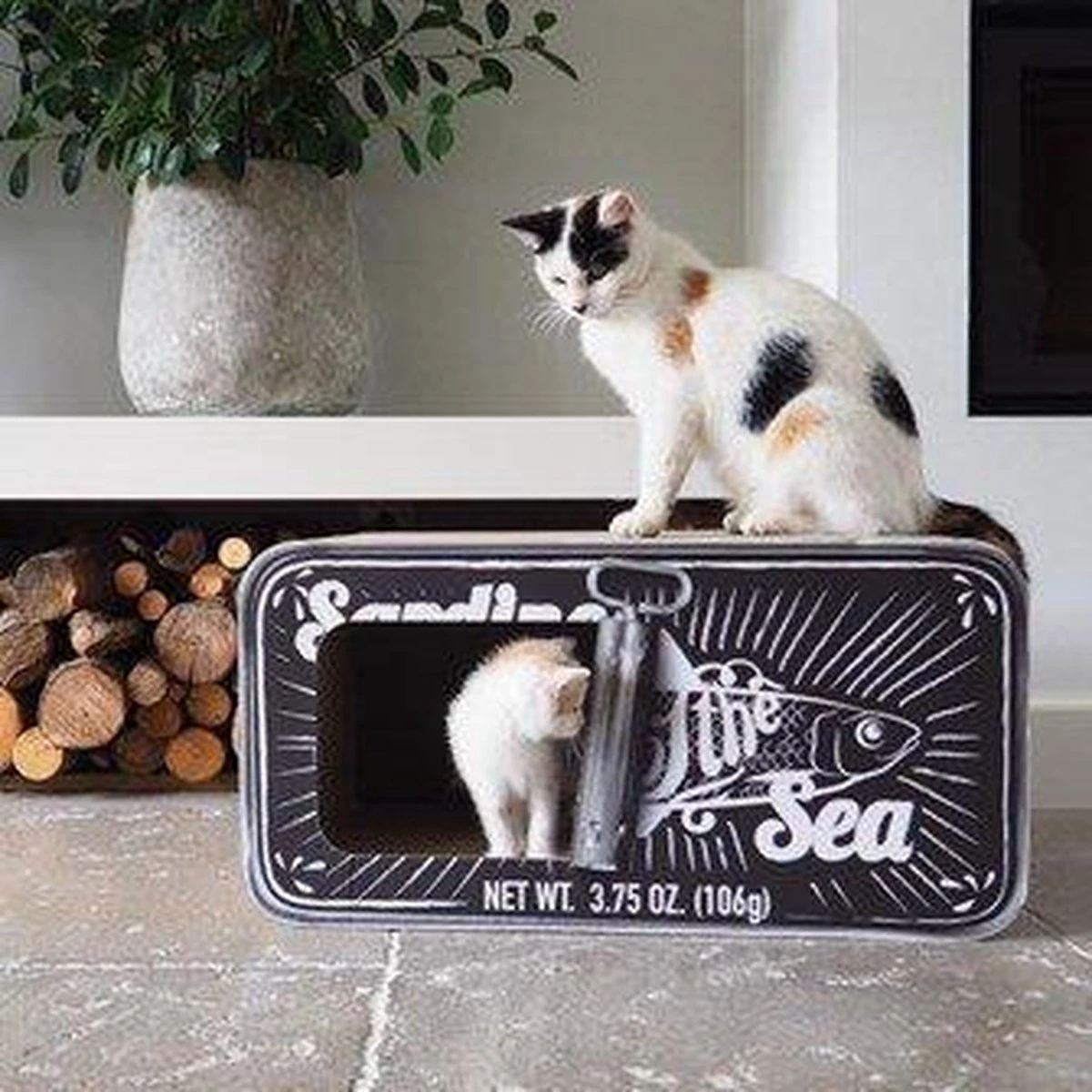 District 70 SARDINE - Design Katten Krabmeubel Van Gerecycled Karton - Zwart, Wit Of Perzik - Afmeting 60x30x30 Cm - Perzik 17 District 70 SARDINE - Design Katten Krabmeubel Van Gerecycled Karton - Zwart, Wit Of Perzik - Afmeting 60x30x30 Cm - Perzik - Image 17