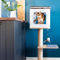 BeOneBreed Katt3 EVO Classic Natural – Krabpaal Voor Katten – Inclusief Memory Foam Kussen, Vilten Mat En Hangspeeltje – Gelamineerd Hout - Afmetingen 42,5 X 37,5 X 76 Cm -Merkloos Verkoop 1200x1200 1074