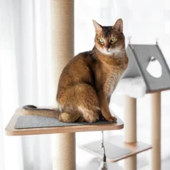 BeOneBreed Katt3 EVO Tower - Krabpaal Voor Katten Van Vloer Tot Plafond – Inclusief 3 Vilten Matjes En Hangspeeltje - Gelamineerd Hout - Maximale Hoogte 254 Cm -Merkloos Verkoop 1200x1200 1089
