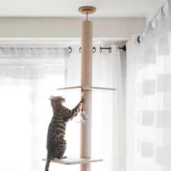 BeOneBreed Katt3 EVO Tower - Krabpaal Voor Katten Van Vloer Tot Plafond – Inclusief 3 Vilten Matjes En Hangspeeltje - Gelamineerd Hout - Maximale Hoogte 254 Cm -Merkloos Verkoop 1200x1200 1090