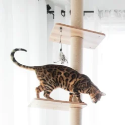 BeOneBreed Katt3 EVO Tower - Krabpaal Voor Katten Van Vloer Tot Plafond – Inclusief 3 Vilten Matjes En Hangspeeltje - Gelamineerd Hout - Maximale Hoogte 254 Cm -Merkloos Verkoop 1200x1200 1091