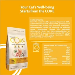 Wellness Core Kattenvoer Sterilised Kip - Kalkoen 4 Kg -Merkloos Verkoop 1200x1200 111