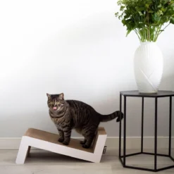 District 70 SOFA - Krabplank Voor Katten Van Duurzaam En Gerecycled Karton - 60x28x18 Cm - SOFA -Merkloos Verkoop 1200x1200 1204