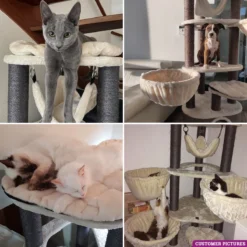 Petrebels Catharina 160 Krabpaal - Creme - 2 Hangmatten - Grote Katten -Merkloos Verkoop 1200x1200 1234