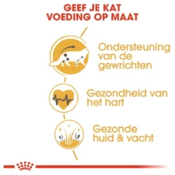 Royal Canin Maine Coon Adult - Kattenvoer - 10 Kg -Merkloos Verkoop 1200x1200 134