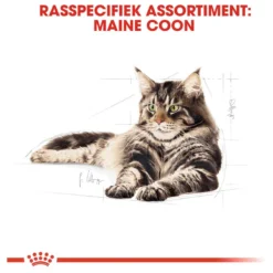 Royal Canin Maine Coon Adult - Kattenvoer - 10 Kg -Merkloos Verkoop 1200x1200 139