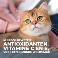 Hill's Science Plan Kattenvoer Adult Tonijn 7 Kg 10 Hill's Science Plan Kattenvoer Adult Tonijn 7 Kg -Merkloos Verkoop 1200x1200 149