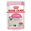 Royal Canin Kitten In Jelly - Kattenvoer - 1020 G