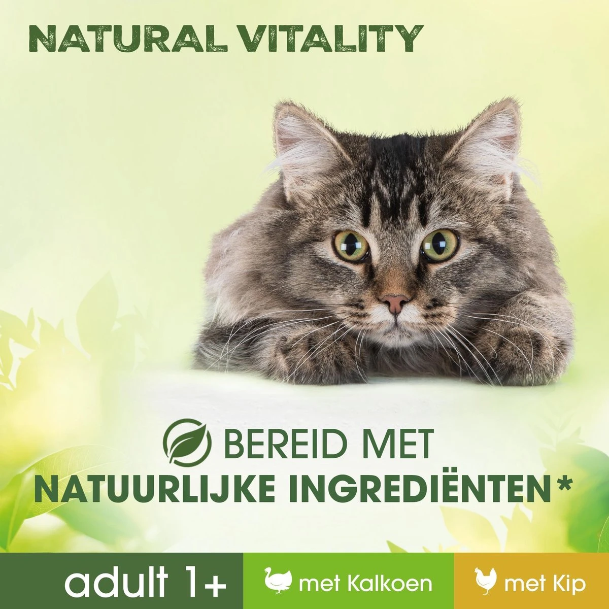 Perfect Fit Adult 1+ Katten Natvoer - Kalkoen & Kip - 36 X 50 Gr 4 Perfect Fit Adult 1+ Katten Natvoer - Kalkoen & Kip - 36 X 50 Gr - Image 4