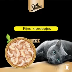 Sheba Filets - Katten Natvoer In Saus - Kipfilet Stukjes - 16 X 60 Gr 5 Sheba Filets - Katten Natvoer In Saus - Kipfilet Stukjes - 16 X 60 Gr -Merkloos Verkoop 1200x1200 196