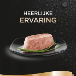 Sheba Perfect Portions Paté Katten Natvoer - Zalm - 48 Stuks -Merkloos Verkoop 1200x1200 212