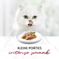 Gourmet Mon Petit Intense - Kattenvoer Natvoer - Duo Vis/Vlees - 24 X 50 Gr 22 Gourmet Mon Petit Intense - Kattenvoer Natvoer - Duo Vis/Vlees - 24 X 50 Gr -Merkloos Verkoop 1200x1200 231