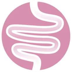 Purina ONE Junior - Kip/Granen - Kattenvoer - 800 G 21 Purina ONE Junior - Kip/Granen - Kattenvoer - 800 G -Merkloos Verkoop 1200x1200 239