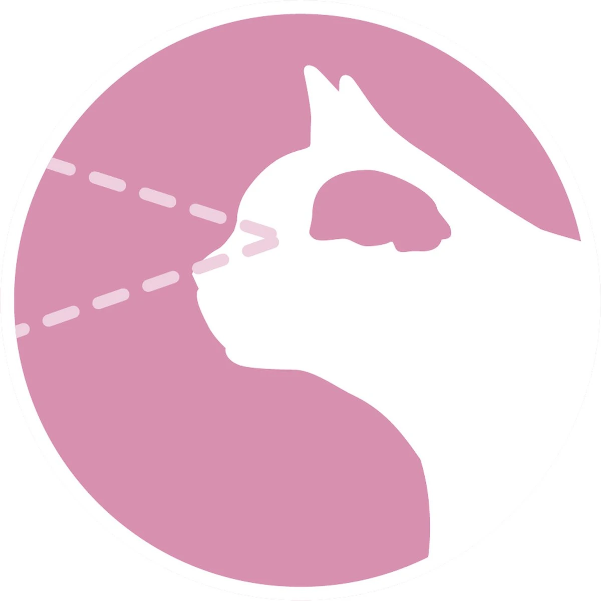 Purina ONE Junior - Kip/Granen - Kattenvoer - 800 G 11 Purina ONE Junior - Kip/Granen - Kattenvoer - 800 G - Image 11