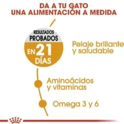 Royal Canin Hair & Skin Care - Kattenvoer - 2 Kg -Merkloos Verkoop 1200x1200 241