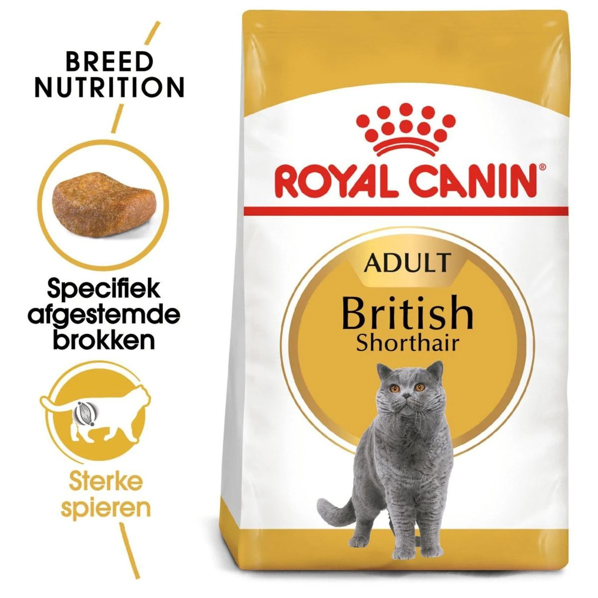 Royal Canin British Shorthair Adult - Kattenvoer - 4 Kg 9 Royal Canin British Shorthair Adult - Kattenvoer - 4 Kg - Image 9