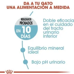 Royal Canin Urinary Care - Kattenvoer - 10 Kg -Merkloos Verkoop 1200x1200 311