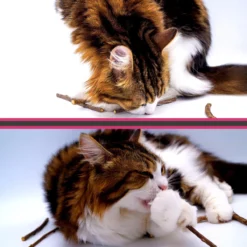 Make Me Purr Matatabi Sticks (20 Stuks) - Silver Vine Kattenkruid Stokjes - Catnip Effect Kauwstokjes - Kattensnack Kattensnoepjes - Kattenspeelgoed Kattenspeeltjes -Merkloos Verkoop 1200x1200 327