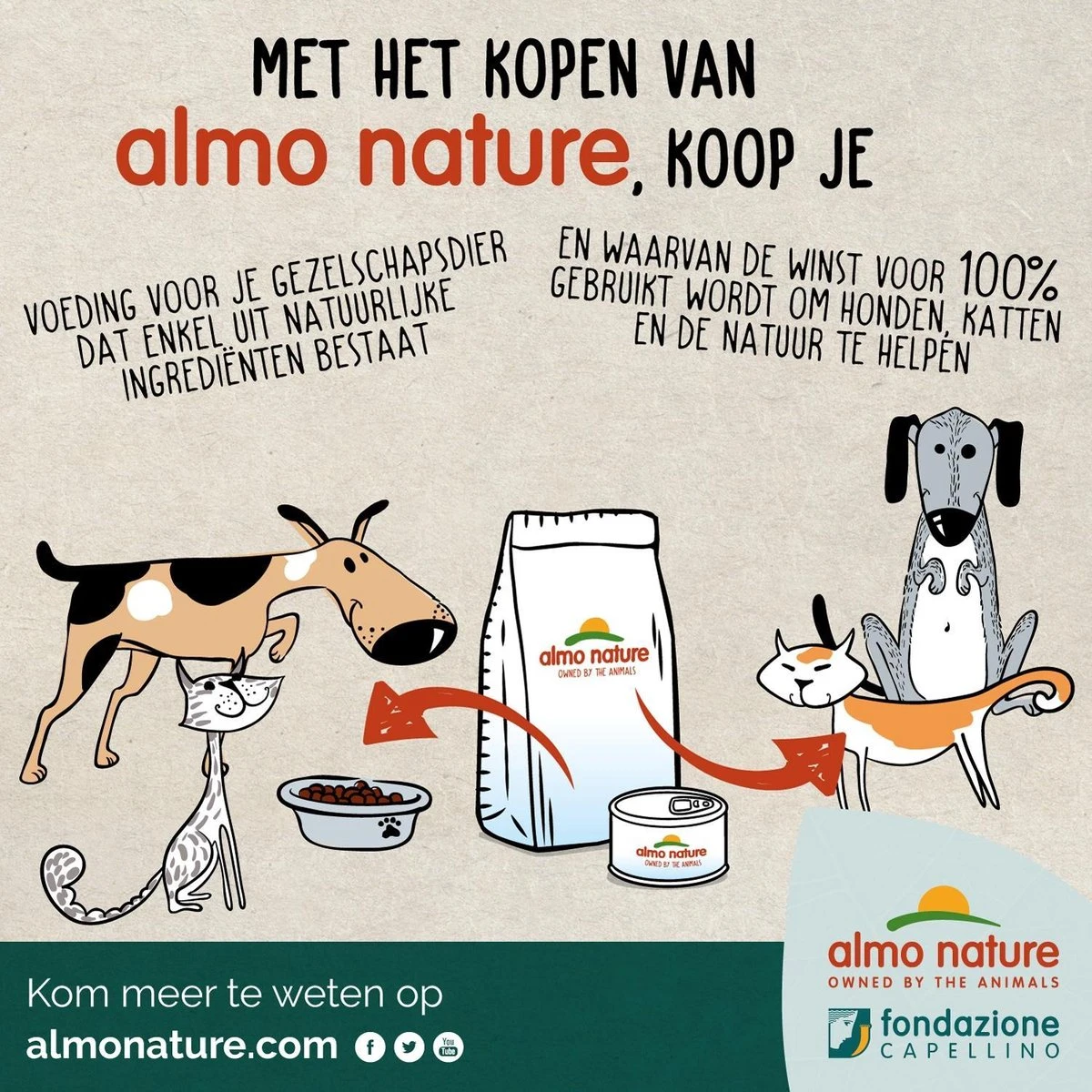 Almo Nature Holistic Droogvoer Voor Volwassen Katten - Kip - In 400gr, 2kg Of 12kg - Holistic Kip - 2kg 7 Almo Nature Holistic Droogvoer Voor Volwassen Katten - Kip - In 400gr, 2kg Of 12kg - Holistic Kip - 2kg - Image 7