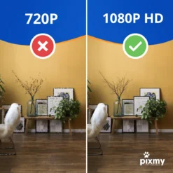 PIXMY - Automatische Voerbak Kat - 4L - Wi-Fi - Met App En Full HD Camera - Voerbak Kat -Merkloos Verkoop 1200x1200 376