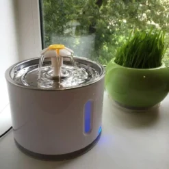 Merkloos Drinkfontein Voor Hond En Kat - RVS Waterbak - Dieren Drinkbak - Vers Water Fontein - Drinkfontein Katten- 3 Standen - 2.4 Liter - Incl. 1 Koolstoffilter 15 Merkloos Drinkfontein Voor Hond En Kat - RVS Waterbak - Dieren Drinkbak - Vers Water Fontein - Drinkfontein Katten- 3 Standen - 2.4 Liter - Incl. 1 Koolstoffilter -Merkloos Verkoop 1200x1200 382