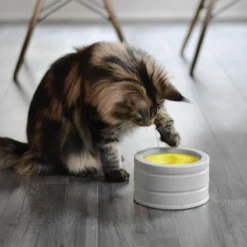 BeOneBreed Intellikatt - Slowfeeder Voor Katten - Voerpuzzel Aanbevolen Door Dierenartsen En Kattengedragsdeskundigen -Merkloos Verkoop 1200x1200 389