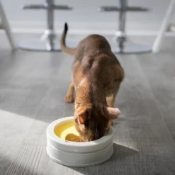 BeOneBreed Intellikatt - Slowfeeder Voor Katten - Voerpuzzel Aanbevolen Door Dierenartsen En Kattengedragsdeskundigen -Merkloos Verkoop 1200x1200 392