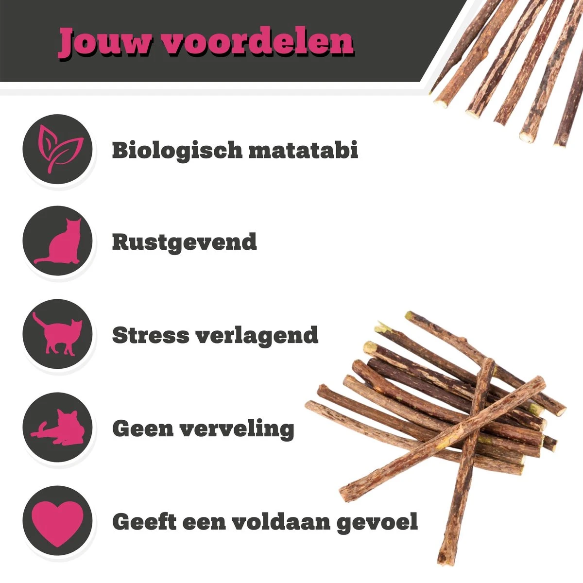 Make Me Purr Matatabi Sticks (10 Stuks) - Silver Vine Kattenkruid Stokjes - Catnip Effect Kauwstokjes - Kattensnack Kattensnoepjes - Kattenspeelgoed Kattenspeeltjes 2 Make Me Purr Matatabi Sticks (10 Stuks) - Silver Vine Kattenkruid Stokjes - Catnip Effect Kauwstokjes - Kattensnack Kattensnoepjes - Kattenspeelgoed Kattenspeeltjes - Image 2