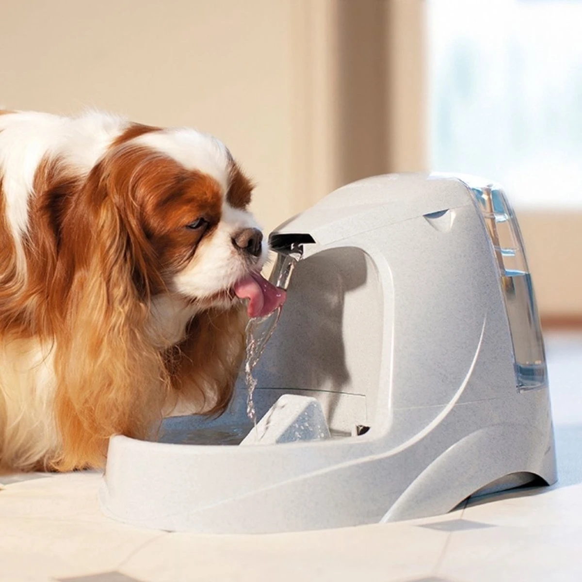 Petsafe Drinkwell Platinum - Drinkfontein - 5 L 2 Petsafe Drinkwell Platinum - Drinkfontein - 5 L - Image 2